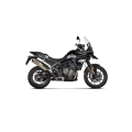 Akrapovic Slip-On Exhaust Triumph Tiger 900/850 (2020+)